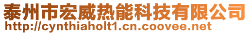 泰州市宏威热能科技有限公司