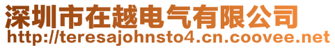 深圳市在越電氣有限公司