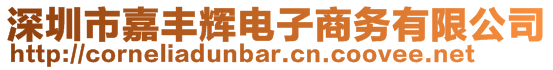 深圳市嘉豐輝電子商務(wù)有限公司