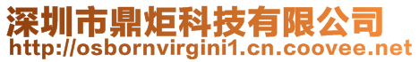 深圳市鼎炬科技有限公司