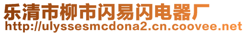 樂清市柳市閃易閃電器廠