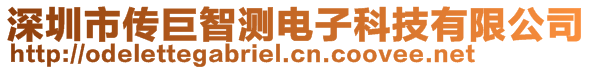 深圳市傳巨智測(cè)電子科技有限公司