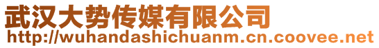 武漢大勢(shì)傳媒有限公司