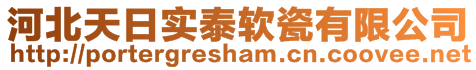 河北天日實泰軟瓷有限公司