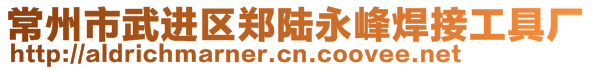 常州市武進(jìn)區(qū)鄭陸永峰焊接工具廠