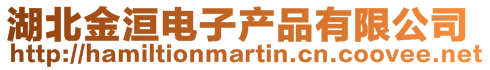 湖北金洹電子產品有限公司