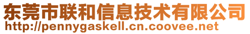 东莞市联和信息技术有限公司