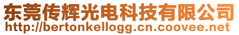 東莞傳輝光電科技有限公司