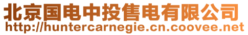 北京國電中投售電有限公司