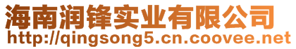 海南潤鋒實業有限公司