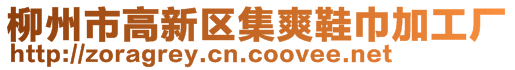 柳州市高新區(qū)集爽鞋巾加工廠