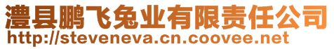 澧縣鵬飛兔業有限責任公司