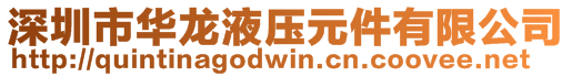 深圳市華龍液壓元件有限公司