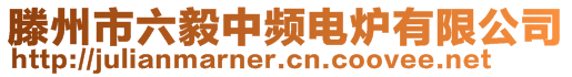 滕州市六毅中頻電爐有限公司