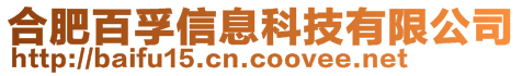 合肥百孚信息科技有限公司