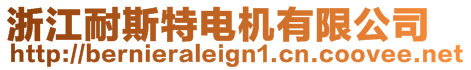 浙江耐斯特電機(jī)有限公司