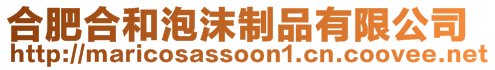 合肥合和泡沫制品有限公司