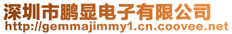 深圳市鵬顯電子有限公司