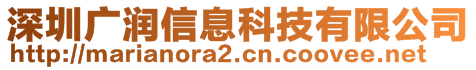 深圳廣潤信息科技有限公司