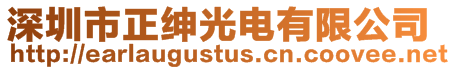 深圳市正紳光電有限公司
