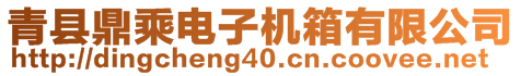 青縣鼎乘電子機箱有限公司