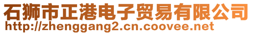 石獅市正港電子貿(mào)易有限公司