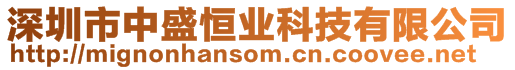深圳市中盛恒業(yè)科技有限公司