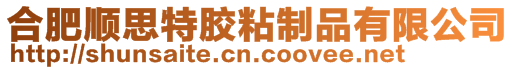 合肥順思特膠粘制品有限公司