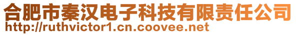 合肥市秦漢電子科技有限責(zé)任公司