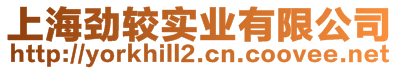 上海勁較實業(yè)有限公司