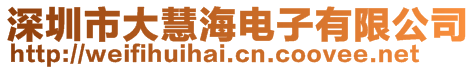 深圳市大慧海電子有限公司