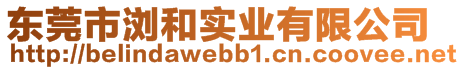 東莞市瀏和實(shí)業(yè)有限公司