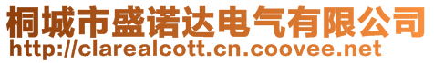 桐城市盛諾達電氣有限公司