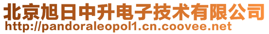 北京旭日中升電子技術(shù)有限公司