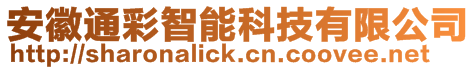 安徽通彩智能科技有限公司