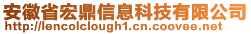 安徽省宏鼎信息科技有限公司