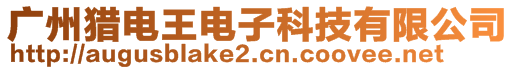 廣州獵電王電子科技有限公司