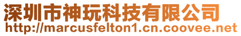 深圳市神玩科技有限公司
