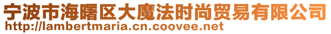 宁波市海曙区大魔法时尚贸易有限公司