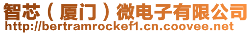 智芯(廈門)微電子有限公司