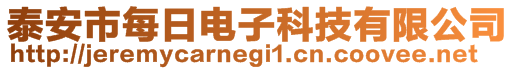 泰安市每日電子科技有限公司