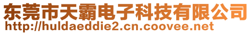 東莞市天霸電子科技有限公司