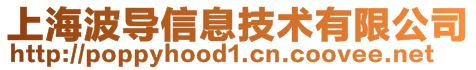 上海波導信息技術有限公司