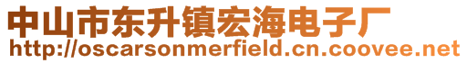 中山市東升鎮宏海電子廠