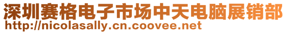 深圳賽格電子市場中天電腦展銷部
