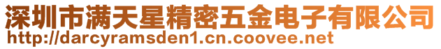 深圳市滿天星精密五金電子有限公司