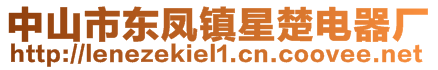 中山市东凤镇星楚电器厂