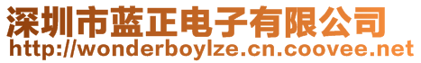 深圳市藍正電子有限公司