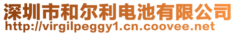 深圳市和爾利電池有限公司