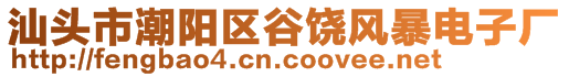 汕頭市潮陽區(qū)谷饒風暴電子廠